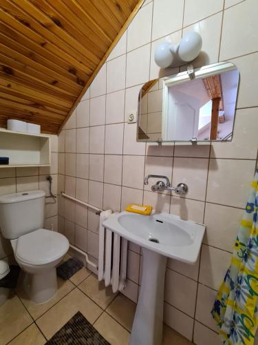 韦巴Ośrodek wczasowy Ewa的一间带卫生间、水槽和镜子的浴室