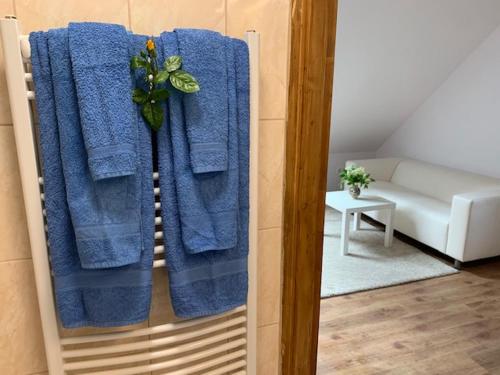 森特贝克卡尔洛Búzavirág Apartman的两条蓝色的毛巾挂在墙上