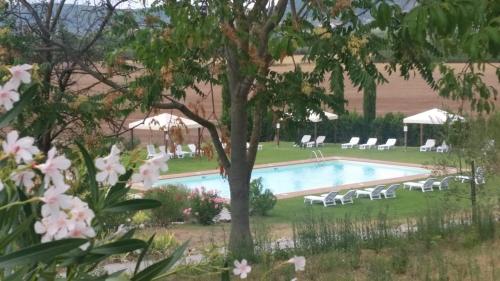 阿夏诺Casa Country House Girasole vakantie huis-WAKACJE HUIS的庭院内带躺椅的游泳池