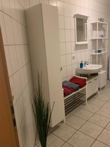 安娜贝格-布赫霍尔茨Ferienwohnung Klosterstrasse mit 2 Schlafzimmern的白色的浴室设有水槽和镜子