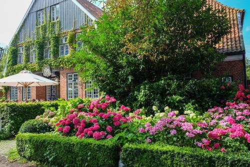 帕恩克OLE丽丝酒店的一座花园,在一座建筑前方种有粉红色花卉