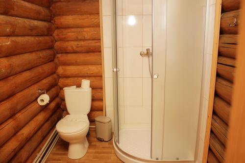 RostokaMonte Vista的一间带卫生间和步入式淋浴间的浴室
