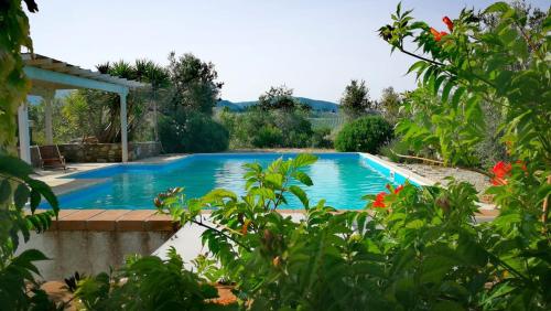 圣温琴佐Villa Belvedere的一座房子后院的游泳池