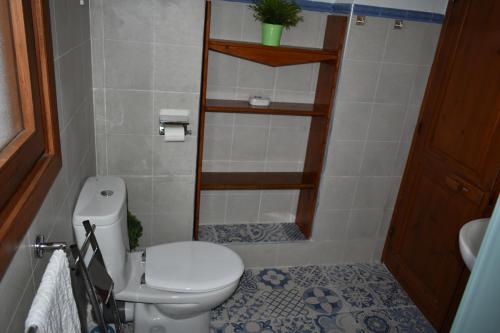 莱图尔Apartamento Letur的一间带卫生间和淋浴的小浴室
