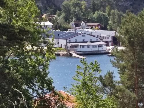 Sundsandvik4 person holiday home in UDDEVALLA的享有带房屋和树木的湖泊美景