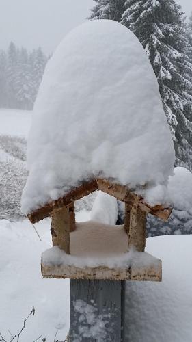 Pension Holl und Boll Am Hexenstieg. picture 3