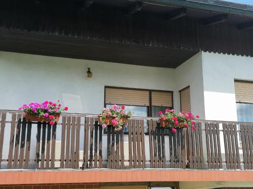 LjubnoApartments Novak的阳台上的两盒粉红色花卉