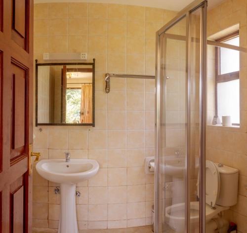 奈瓦沙Ol-Kine Cottage at The Great Rift Valley Lodge & Golf Resort Naivasha的一间带水槽、卫生间和镜子的浴室