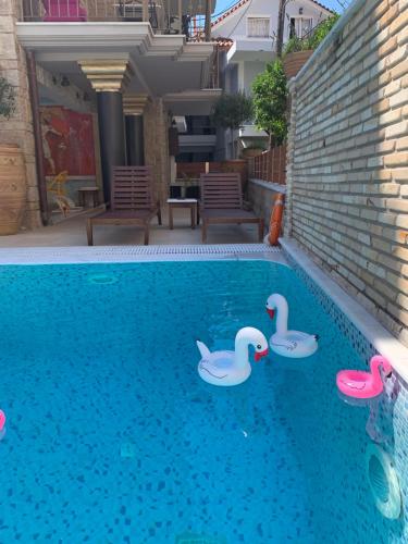帕尔加Leda Suites的水中三个天鹅的游泳池