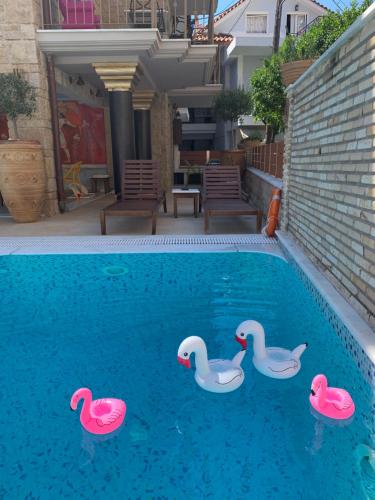 帕尔加Leda Suites的水中一个游泳池,有三个橡胶鸭