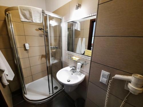 克拉科夫阿奈克斯卡兹米尔兹酒店的一间带水槽和淋浴的小浴室