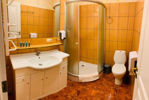 SkwierzynaGościniec Skwierzyna的一间带水槽、淋浴和卫生间的浴室