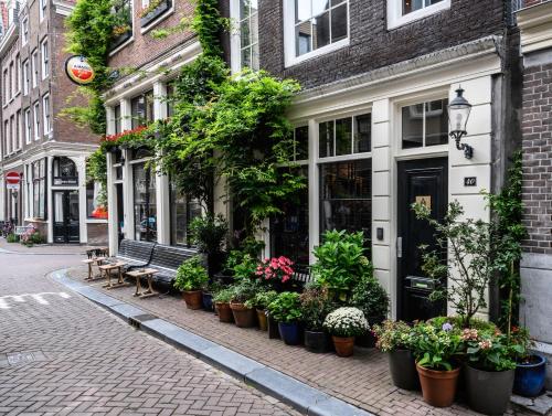 阿姆斯特丹The Blossom House Amsterdam的街上一排盆栽植物