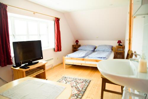 Tõlliste卡尔达塔鲁度假屋的小房间设有床和电视