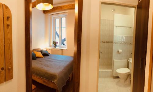 利托梅日采Penzion Laterna的一间小卧室,配有一张床和一个卫生间