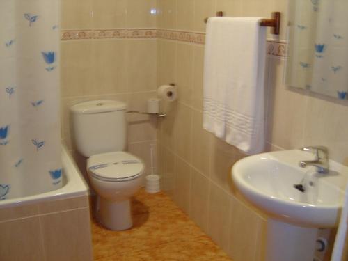 阿尔卡拉德尔胡卡尔蒂阿妮斯酒店的一间带卫生间和水槽的浴室