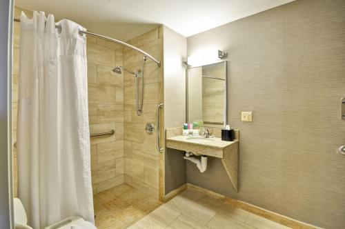 Holiday Inn Express Romulus / Detroit Airport, an IHG Hotel的一间浴室