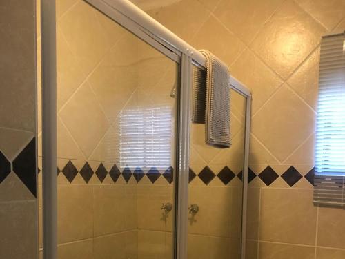 圣卢西亚African Dreamz Guest House的浴室里设有玻璃门淋浴