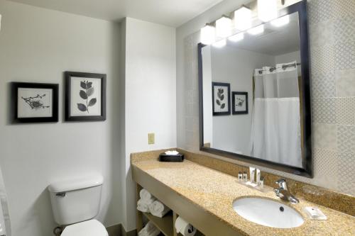 俄克拉何马城俄克拉荷马城机场卡尔森江山旅馆及套房酒店的一间带水槽、卫生间和镜子的浴室