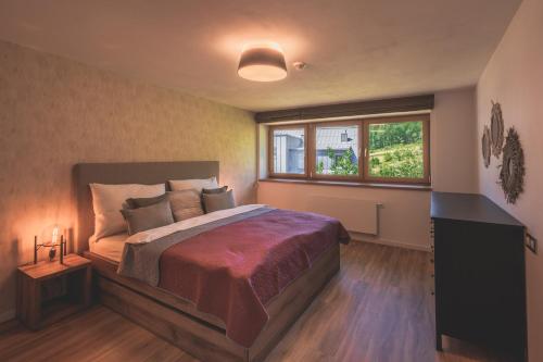 扬斯凯拉兹涅Apartman Central Ski & Bike的一间卧室设有一张大床和一个窗户。