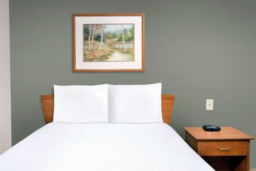 阿诺德WoodSpring Suites St Louis Arnold的卧室配有一张床,墙上挂着一幅画