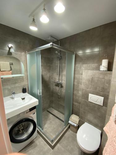 帕内韦日斯Parko 443的带淋浴、卫生间和盥洗盆的浴室