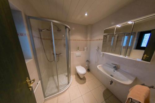 格拉斯许特Hotel & Restaurant Zum Deutschen Haus的带淋浴、盥洗盆和卫生间的浴室