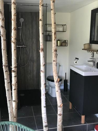 芒德La Roséa的带淋浴和卫生间的浴室以及树木