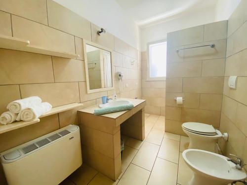 朱尔迪尼亚诺Casa Vacanze Eufemia的一间带水槽、卫生间和镜子的浴室