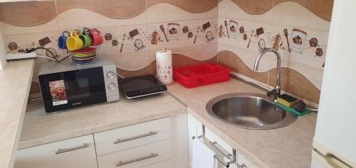 潘切沃Julija的厨房柜台设有水槽和微波炉