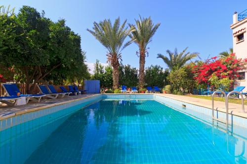 波利斯Follow The Sun Hotel Apartments的一个带蓝色椅子的游泳池,棕榈树