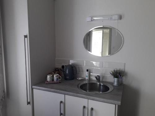 洛赫雷Lakeside Loughrea的浴室的柜台设有水槽和镜子