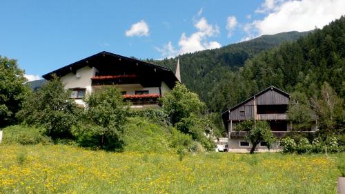 Nikolsdorf斯坦内霍夫旅馆的花田旁小山上的房子