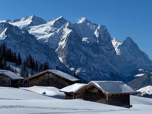 BrienzwilerFerien im Paradies的山底雪中小屋