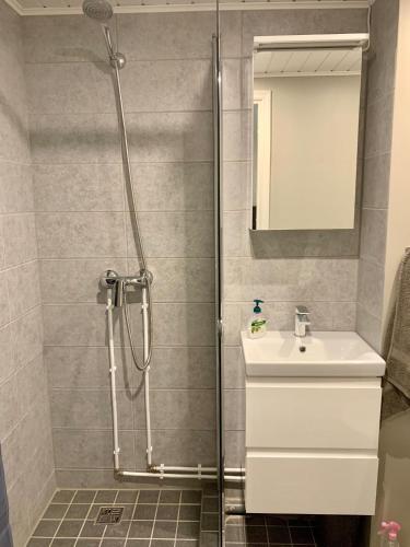 瓦尔加Sepa Apartment的带淋浴和盥洗盆的浴室
