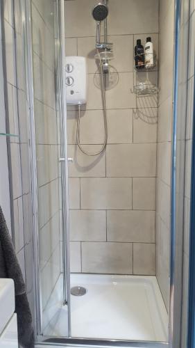 KentMango Lodge的带淋浴的浴室和玻璃门