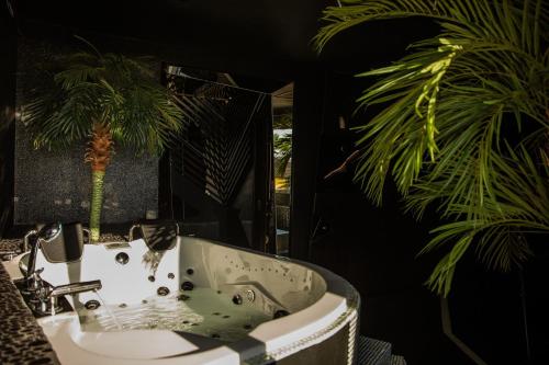 布拉索夫Excentric Studio 2的浴室设有水槽,里面种有棕榈树