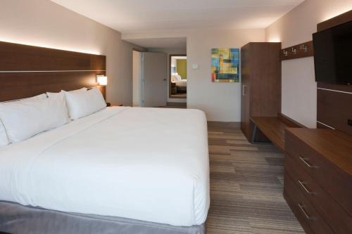 罗斯维尔Holiday Inn Express Roseville-St. Paul, an IHG Hotel的一间酒店客房,配有一张大床和一台平面电视