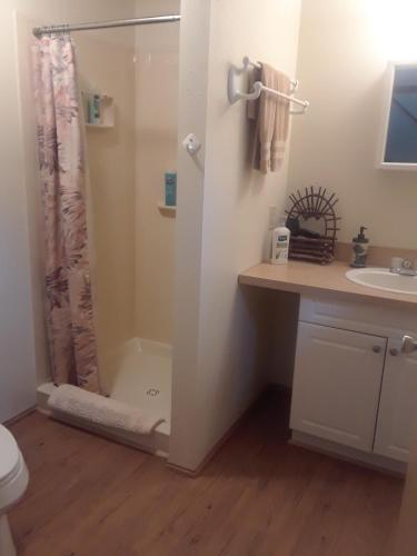 Trapper CreekAlaska's Northland Inn的带淋浴、卫生间和盥洗盆的浴室