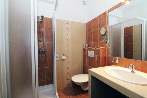 Dolní LibchavyPENZION HŮRKA的带淋浴、盥洗盆和卫生间的浴室