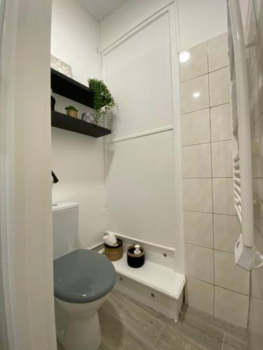 穆兰joli appartement quartier historique, 5 pers的白色的浴室设有卫生间和淋浴。