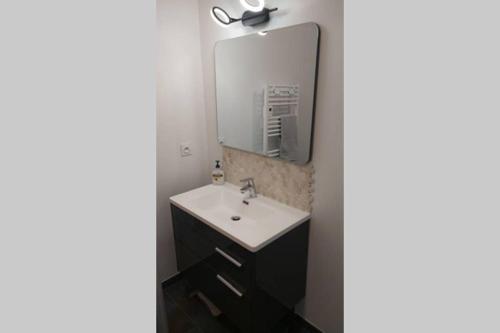 莱齐尼昂科尔比埃Studio Portal的一间带水槽和镜子的浴室