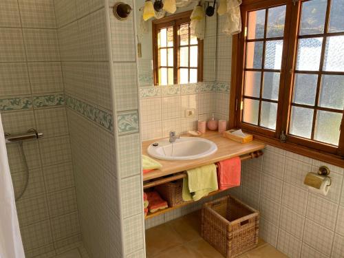 吉亚德伊索拉Casa Verde的一间带水槽和淋浴的浴室