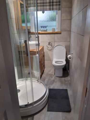 布罗迪克Ardgowan Cottage的带淋浴和卫生间的小浴室