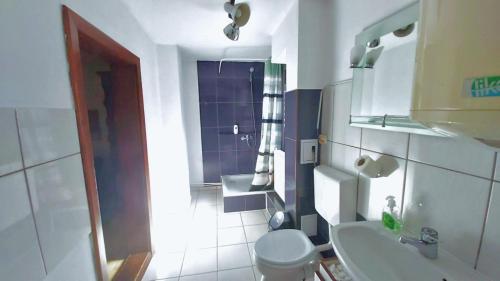 上维谢乌Casa Toth din Țipțerai的一间带卫生间和水槽的小浴室