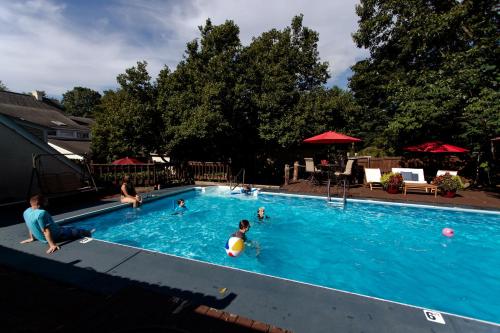 布莱克斯堡克雷康纳旅馆的一群人在游泳池游泳