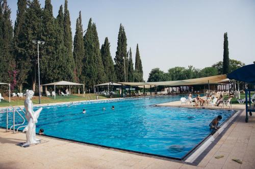 Pastoral Hotel - Kfar Blum内部或周边的泳池