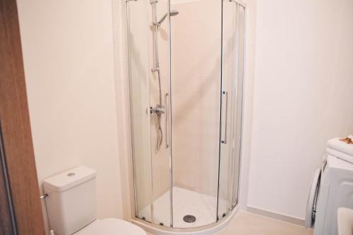 奈达Hygge style apartment Nida的设有带卫生间的浴室内的淋浴间