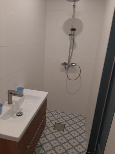 阿姆斯特丹B & B Tulp Amsterdam Noord的白色的浴室设有水槽和淋浴。