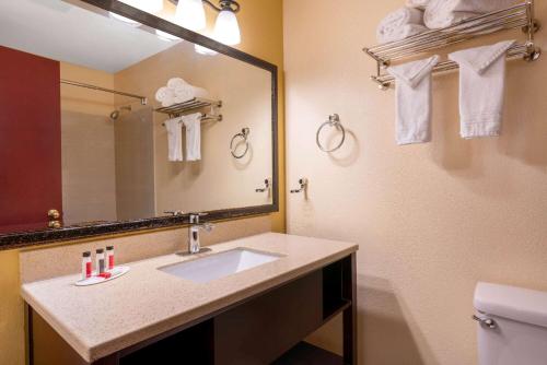 西塔科Sutton Suites Hotel的一间带水槽、镜子和卫生间的浴室